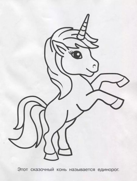 Фотография книги "Владимир Попов: Обведи через прозрачные страницы. Единорог"