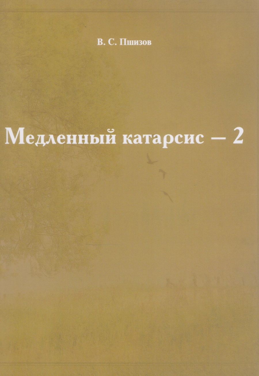 Обложка книги "Владимир Пшизов: Медленный катарсис - 2"