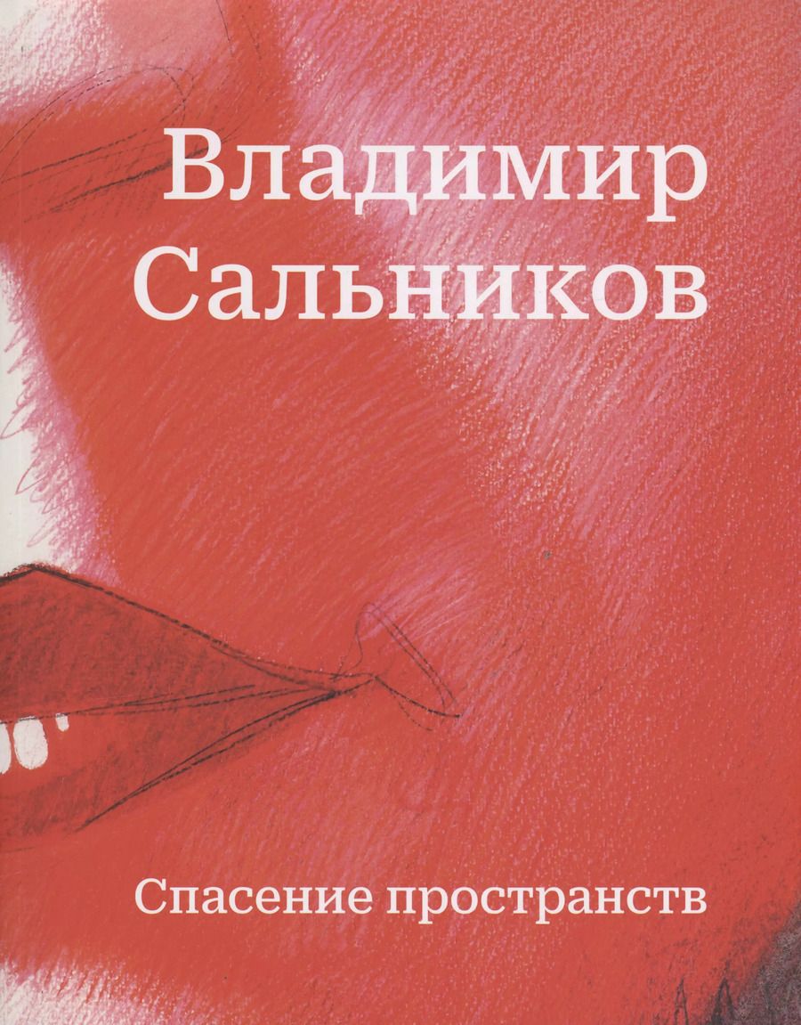 Обложка книги "Владимир Сальников. Спасение пространств"