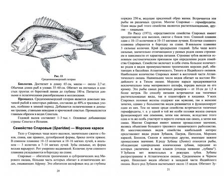 Фотография книги "Владимир Саускан: Краткое описание промысловых рыб Мирового океана. Луциановые, Помадазиевые, Спаровые. Учебн. пособие"