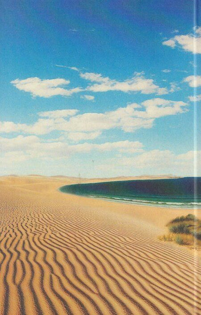 Фотография книги "Владимир Сергеевич: Человек мира. Бродячие колонисты"