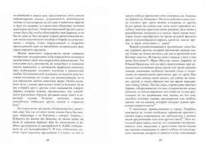 Фотография книги "Владимир Соловьев: Красота в природе. Смысл любви"