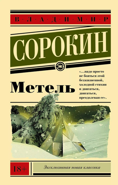 Обложка книги "Владимир Сорокин: Метель"