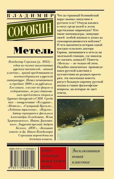 Фотография книги "Владимир Сорокин: Метель"