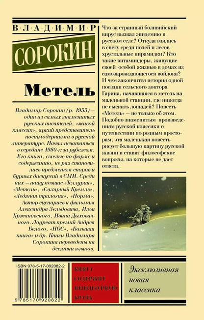 Фотография книги "Владимир Сорокин: Метель"