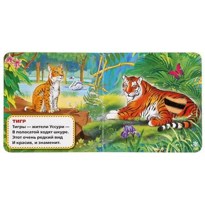 Фотография книги "Владимир Степанов: Дикие животные."