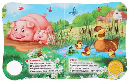 Фотография книги "Владимир Степанов: Домашние животные. Книжка-задвижка"