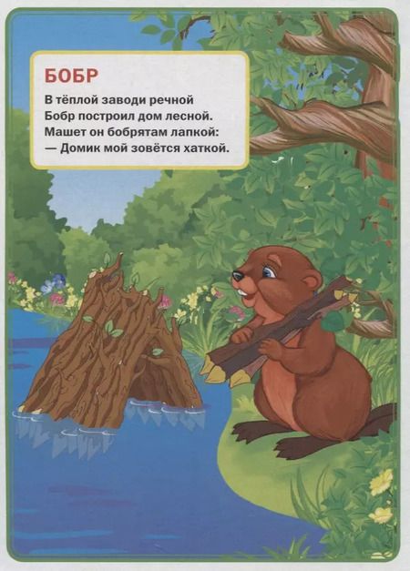 Фотография книги "Владимир Степанов: Кто где живет."