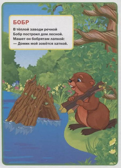 Фотография книги "Владимир Степанов: Кто где живет."