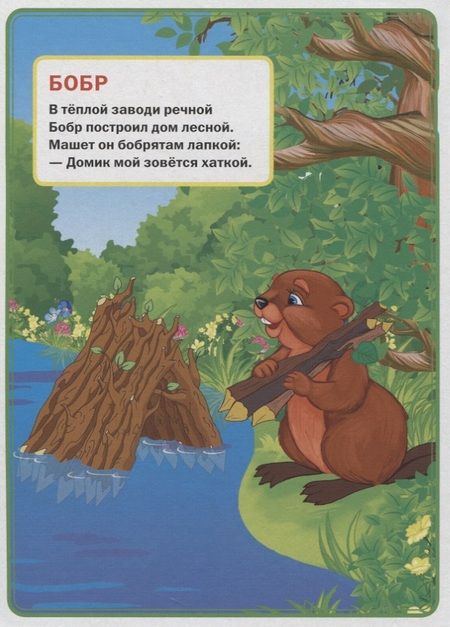 Фотография книги "Владимир Степанов: Кто где живет."