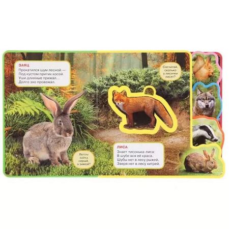 Фотография книги "Владимир Степанов: Лесные животные. Книжка с мягкими пазлами и заданиями"