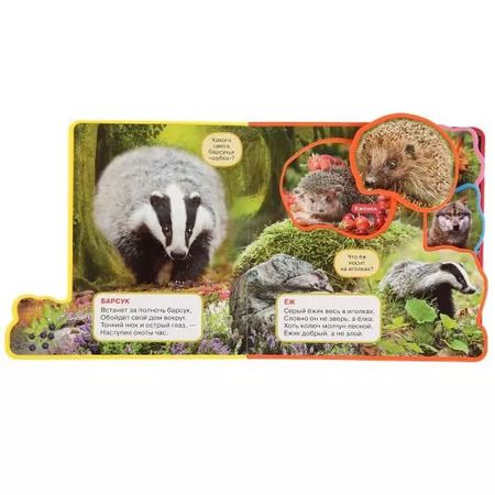 Фотография книги "Владимир Степанов: Лесные животные. Книжка с мягкими пазлами и заданиями"