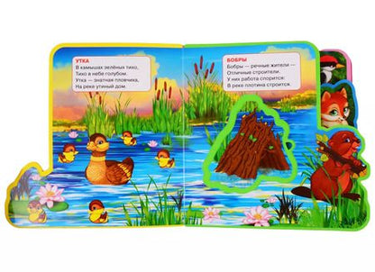 Фотография книги "Владимир Степанов: Лесные животные"