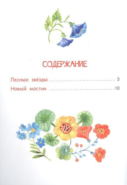 Фотография книги "Владимир Степанов: Лесные звезды. Сказки"