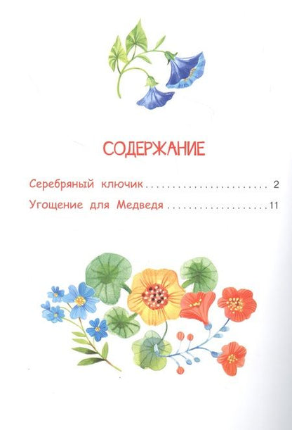 Фотография книги "Владимир Степанов: Серебряный ключик. Сказка"