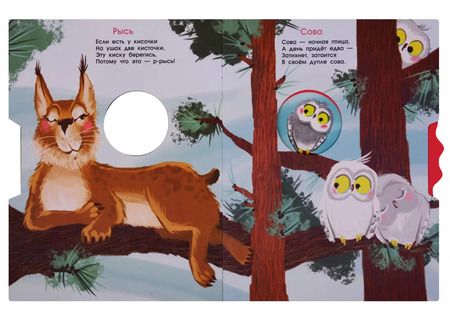 Фотография книги "Владимир Степанов: В лесу. Стихи для малышей"