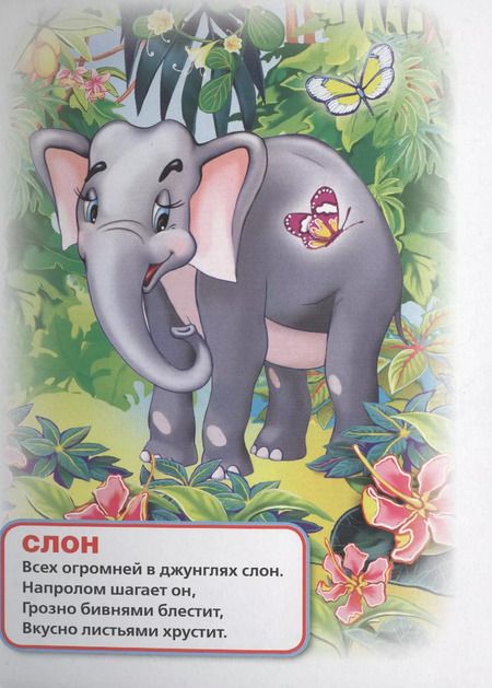 Фотография книги "Владимир Степанов: Веселый зоопарк."