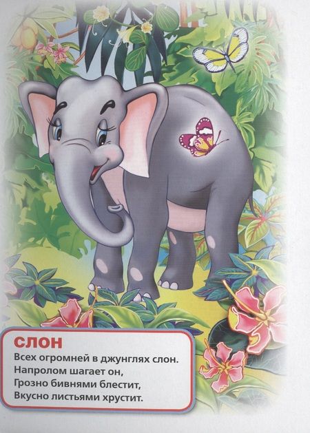 Фотография книги "Владимир Степанов: Веселый зоопарк."