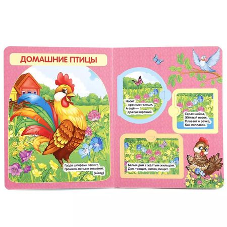 Фотография книги "Владимир Степанов: Загадки о животных"