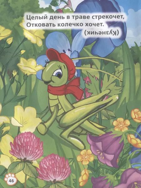 Фотография книги "Владимир Степанов: Загадки о животных"