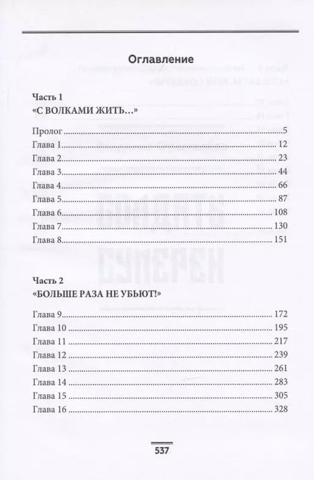 Фотография книги "Владимир Стрельников: Солдаты сумерек"