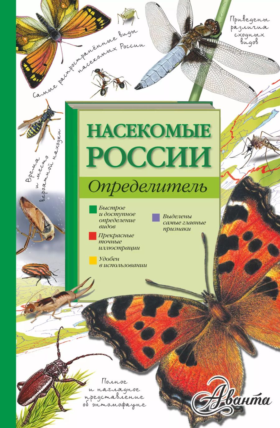 Обложка книги "Владимир Тимоханов: Насекомые России. Определитель"