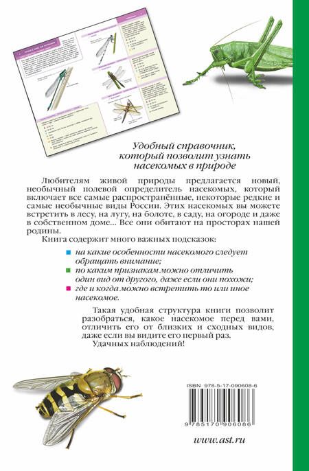 Фотография книги "Владимир Тимоханов: Насекомые России. Определитель"