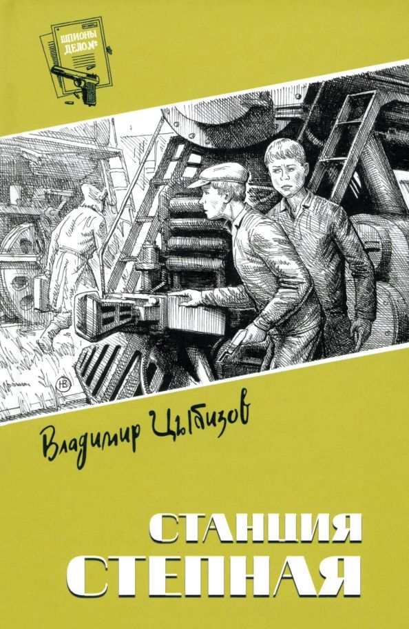 Обложка книги "Владимир Цыбизов: Станция Степная"