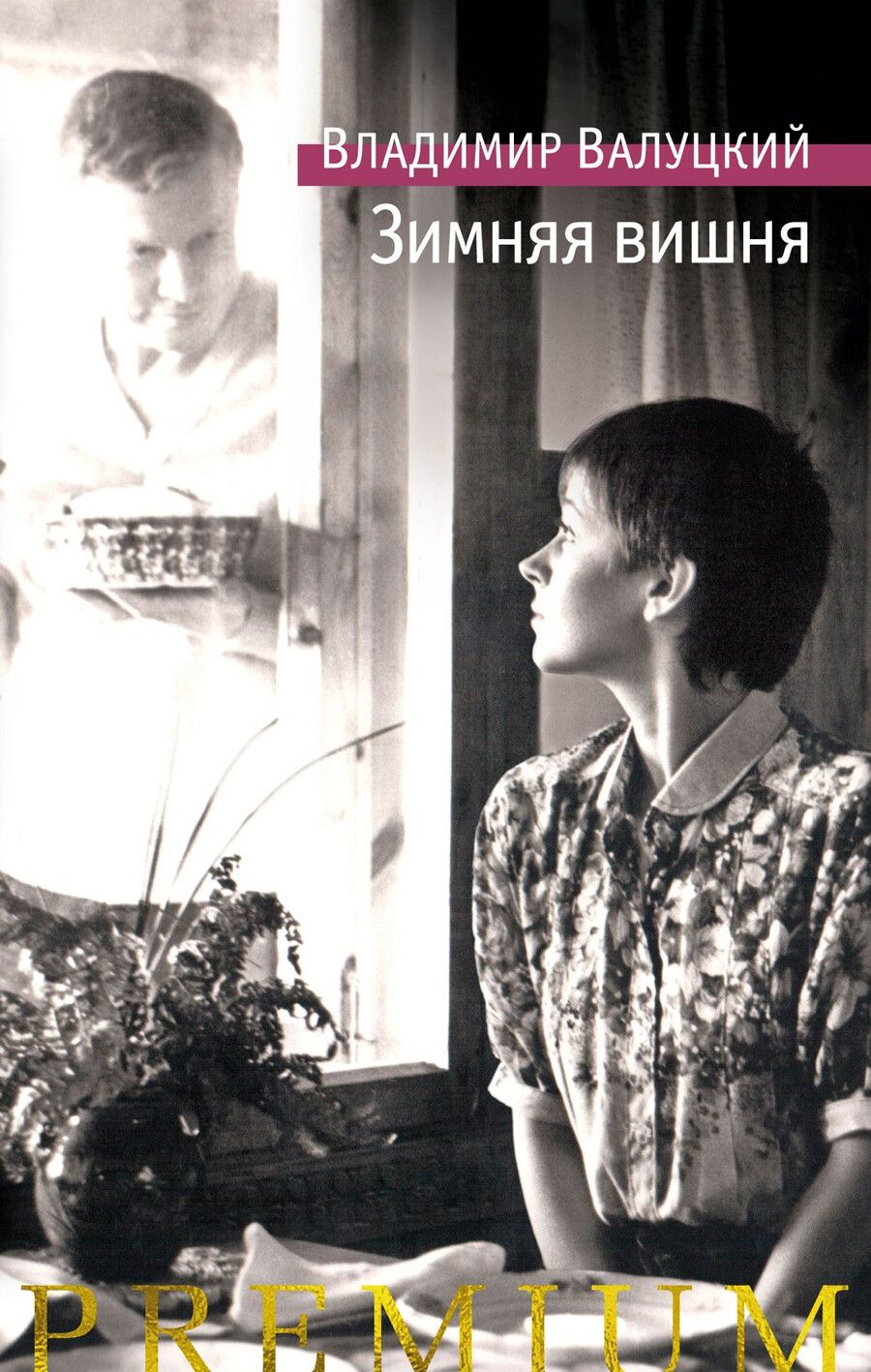 Обложка книги "Владимир Валуцкий: Зимняя вишня"