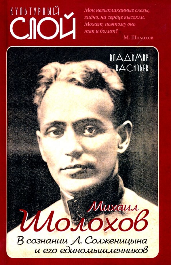 Обложка книги "Владимир Васильев: Михаил Шолохов. В сознании А. Солженицына и его единомышленников"