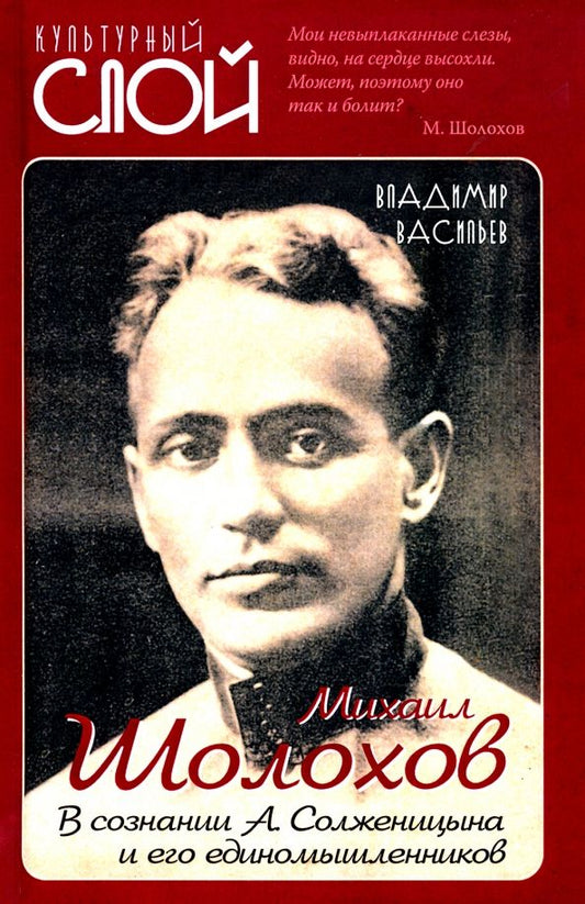 Обложка книги "Владимир Васильев: Михаил Шолохов. В сознании А. Солженицына и его единомышленников"