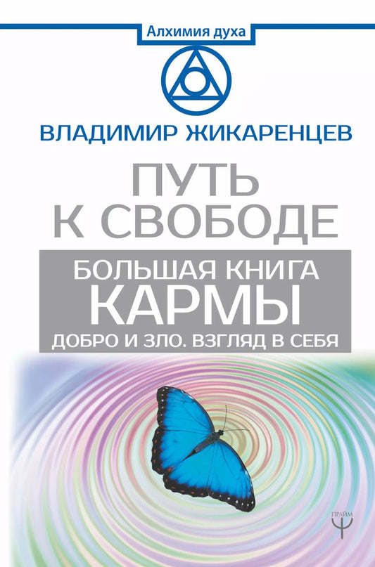 Обложка книги "Владимир Васильевич: Большая книга Кармы. Путь к свободе. Добро и Зло. Взгляд в Себя"