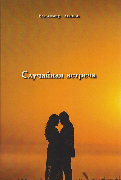 Обложка книги "Владимир Васильевич: Случайная встреча"