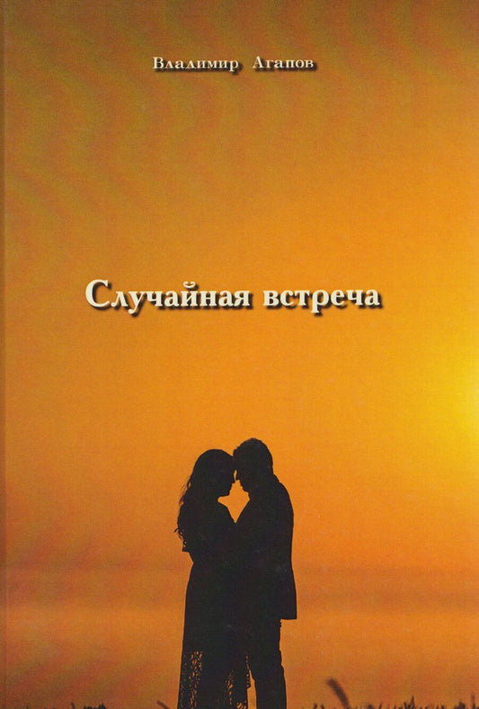 Обложка книги "Владимир Васильевич: Случайная встреча"