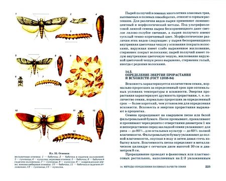 Фотография книги "Владимир Васько: Основы семеноведения полевых культур. Учебное пособие"