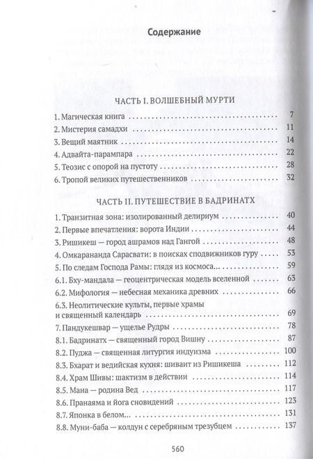 Фотография книги "Владимир Видеманн: Тайна черного мурти, или У истоков адвайты"