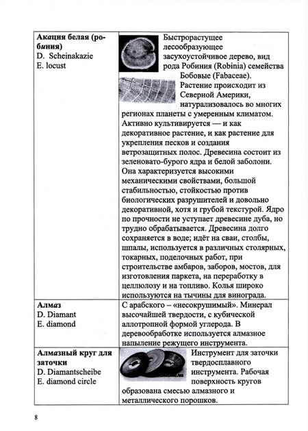 Фотография книги "Владимир Волынский: Лесотехнический толковый словарь. СПО"