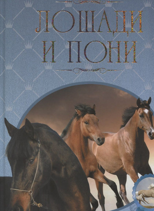 Обложка книги "Владимир Жабцев: Лошади и пони. Иллюстрированная энциклопедия"