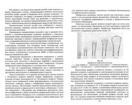 Фотография книги "Владимир Жуков: Деформации скелета птиц. Учебное пособие"