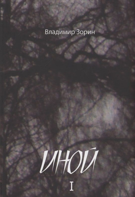 Обложка книги "Владимир Зорин: Иной"