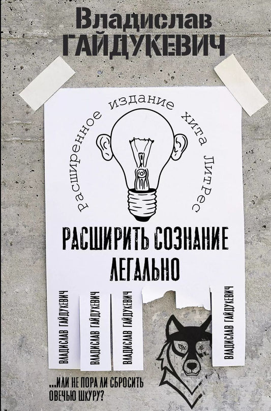 Обложка книги "Владислав Гайдукевич: Расширить сознание легально. Не пора ли сбросить овечью шкуру?"