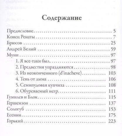 Фотография книги "Владислав Ходасевич: Некрополь"