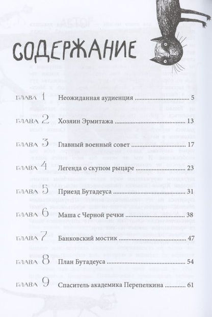 Фотография книги "Власов Петр: Приключения эрмитажных котов: Рыцарь, кот и балерина"