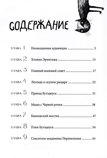 Фотография книги "Власов, Власова: Приключения эрмитажных котов: Рыцарь, кот и балерина"