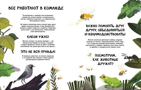 Фотография книги "Вместе лучше! Командная работа в мире животных"