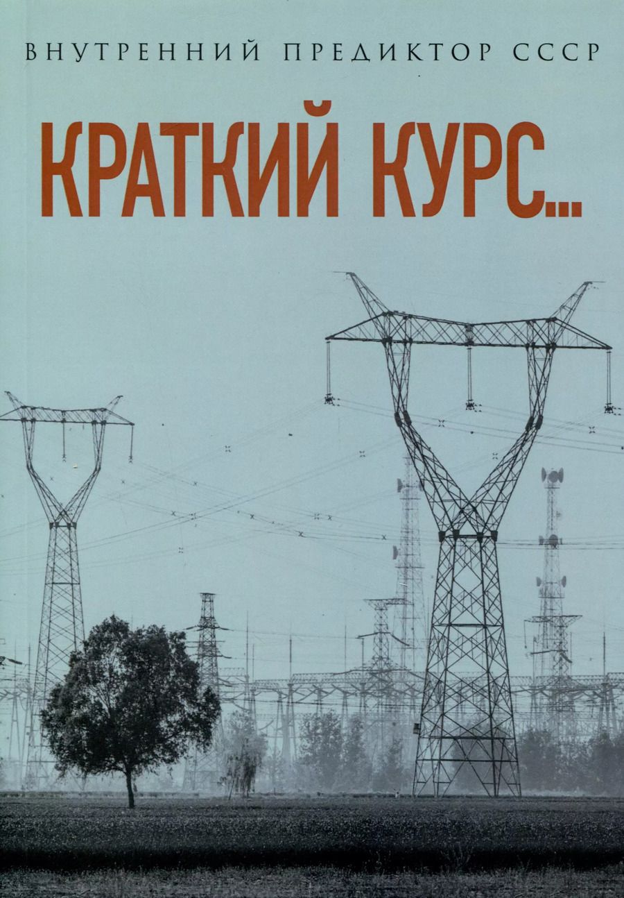 Обложка книги "Внутренний: Краткий курс..."