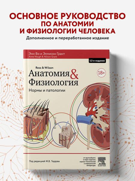 Фотография книги "Во, Грант: Анатомия и физиология. Нормы и патологии"