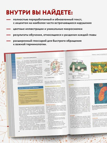 Фотография книги "Во, Грант: Анатомия и физиология. Нормы и патологии"
