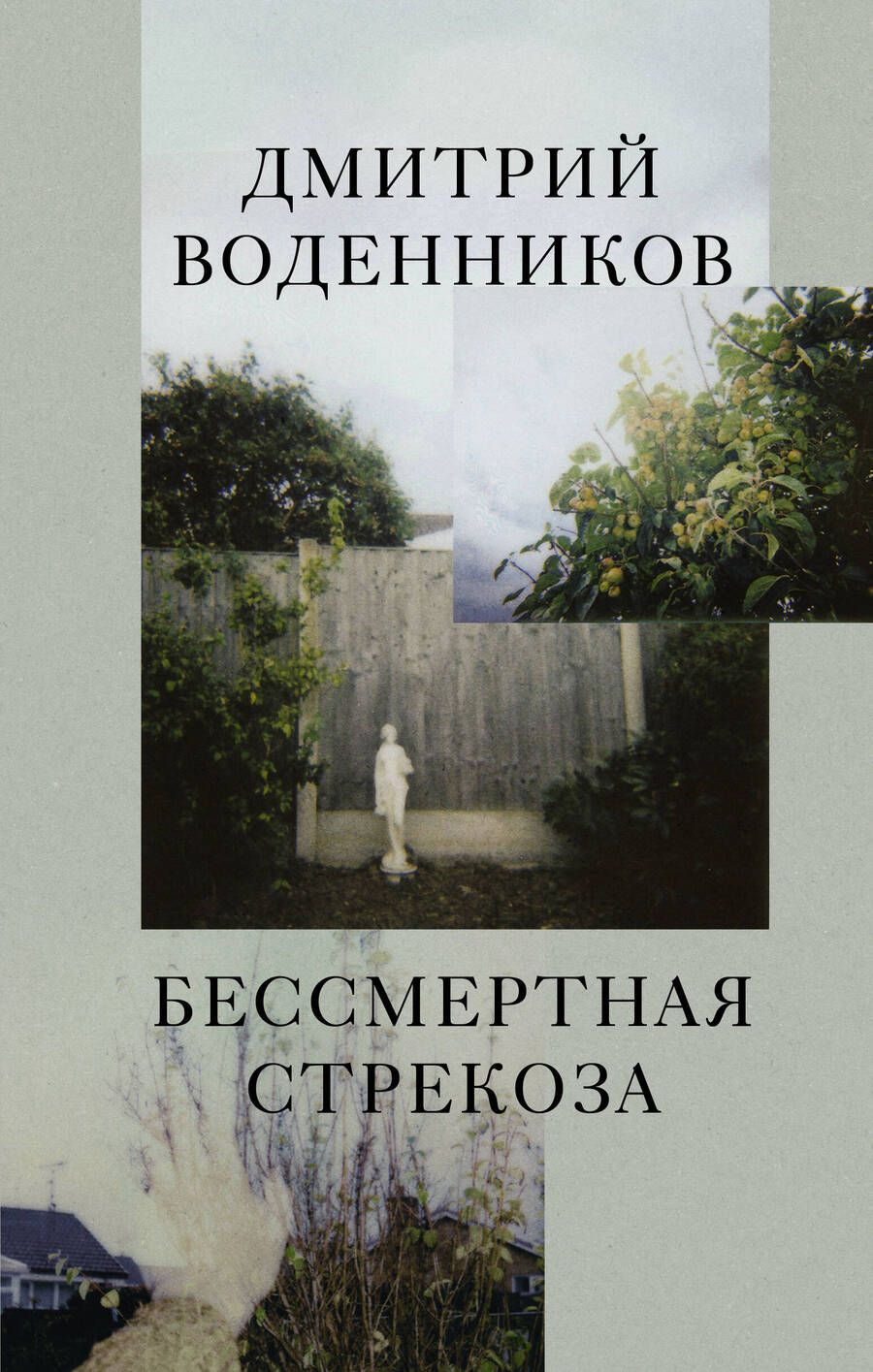 Обложка книги "Воденников: Бессмертная стрекоза"