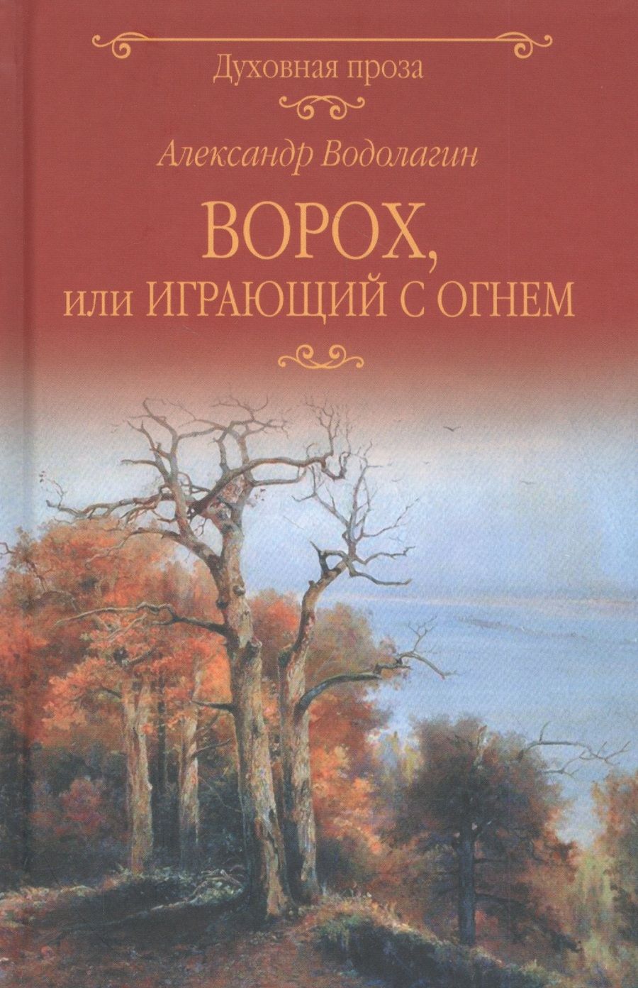 Обложка книги "Водолагин: Ворох, или Играющий с огнем"